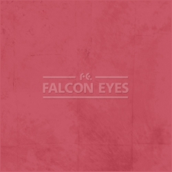 Фон тканевый Falcon Eyes BCP-17 BC-2750